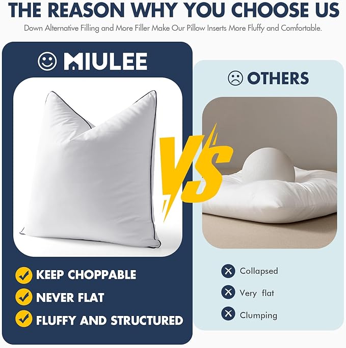 MIULEE 20x20 Pillow Inserts, Fluffy Down Alternative Filling Pack of 2 Ultra Soft Throw Pillows for Sofa Couch Bed