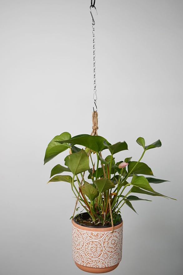 Chain for Hanging Plants,11 Inch Silver Hanging Chain, Small Hanging Basket Chain Kits with Hooks for Bird Feeder Plant Extender Porch Wind Chime (Silver, 11 Inch-6PCS)