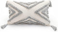 Boho Grey Lumbar Throw Pillow Cover 12x20 Inch with Tassels, Gray Geometric Tufted Cream Chenille Fabric Small Accent Textured Cushion Case for Bed Couch, 1 PC Cover Only No Insert