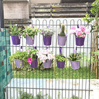 LaLaGreen Hanging Planter Outdoor - 10 Pack, 4 Inch Fence Planters Outdoor Purple Hanging Window Flower Bucket Metal Succulent Pots Balcony Railing Wall Garden Deck Porch Herb Plant Macetas Exterior - size: 4 Inch (Purple)