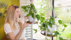 2 Pack Macrame Plant Hanger | Plant Hanger Indoor, Hanging Planter Shelf | Hanging Planter (Jute) (1 Large + 1 Medium)