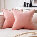 MIULEE Dark Pink Velvet Throw Pillow Covers 18x18 Soft Decorative Solid Square Cushion Cases Pack of 2 Modern Luxury Home Decor for Couch, Sofa, Bedroom