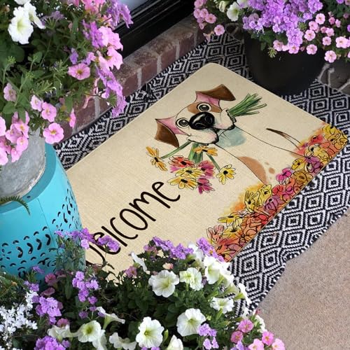 Spring Summer Door Mat,Floral Dog Indoor Outdoor Non-Slip Doormat,Entryway Front Porch Farmhouse Spring Welcome Door Mat Colorful for Entrance Decor,30" x 17" - color: 2026 Spring Summer 3