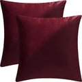 2 Pack 22x22 Pillow Cover Velvet Pillow Covers, Square Throw Pillow Covers for Living Room Decorations Throw Pillow Case, Throw Pillow Cover Cushion Cover for Sofa Bedroom Car, Burgundy Red Velvet