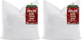 Utopia Bedding Throw Pillows (Set of 1, White) – 20 x 20 Inches Down Alternative Pillows for Bed, Sofa, and Couch - Fluffy Decorative Stuffer Pillow for Indoors & Outdoors (Pack of 2)