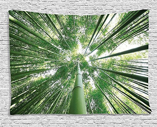 Ambesonne Forest Tapestry, Tropical Rain Forest Tall Trees in Exotic Style Nature Theme Image Sky from Woodland, Wide Wall Hanging for Bedroom Living Room Dorm, 80" X 60", Green - color: Green, size: 80"L x 60"W