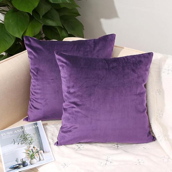 2 Pack Soft Velvet Couch Throw Pillow Covers 16x16 Inch for Sofa Living Room Bedroom (Purple)