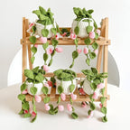 Crochet Hanging Plant for Car, Cute Car Plant Accessories, Knitted Plant Car Mirror Hanger, Boho Car Plant Crochet Hanging Basket (C)