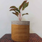 Planter Basket Modern Woven Basket for 10" Floor Indoor Planters, 12” x 12” Storage Organizer Basket Rustic Home Decor, Boho Chic Storage Earth-Friendly Cotton ECO-Twist Planter ( Style M37)