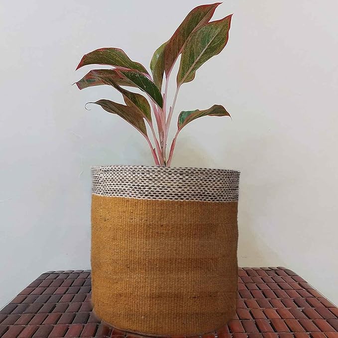 Planter Basket Modern Woven Basket for 10" Floor Indoor Planters, 12” x 12” Storage Organizer Basket Rustic Home Decor, Boho Chic Storage Earth-Friendly Cotton ECO-Twist Planter ( Style M37)
