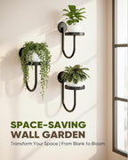 Wall Plant Holder – Hanging Planters for Indoor, Window Planter Shelves & Hanger, Indoor Wall Planters, Modern Plant Decor, Black (3 Pack)