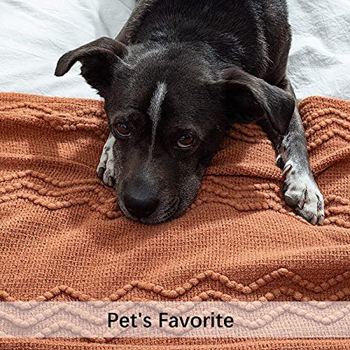 MIULEE Knitted Boho Throw Blanket for Couch Textured Knit Terracotta Rust Blanket with Tassels Cozy Woven Farmhouse Blanket for Sofa Bed Chair Wave Pattern Fall Decor 50"x60", Orange - color: Orange, size: 50" x 60"