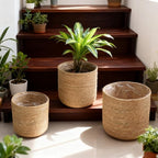 9 inch Seagrass Woven Planter Basket - Wicker Planter Basket with Plastic Film Insert for Indoor Plants, Large Monstera Pot, Woven Storage Basket, Boho Home Decor (Small)
