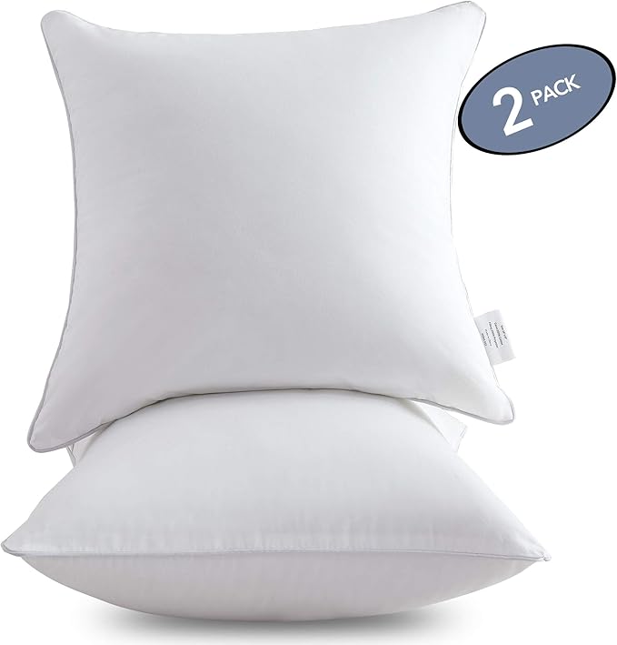 Leeden 20 x 20 Pillow Inserts (Set of 2) - Throw Pillow Inserts with 100% Cotton Cover - 20 Inch Square Decorative Pillows for Sofa, Couch, Bed and Home Decor