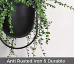 Shineloha 2 Pack Hanging Planters for Indoor Plants with 5.5" Pot + Ceiling Hook | Black Hanging Planter, Metal Plant Hanger, NO Plant incld