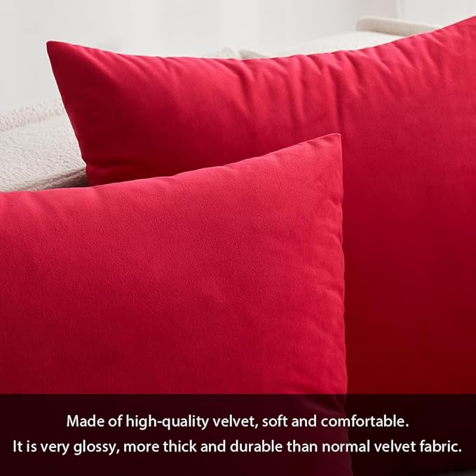 MIULEE 24x24 Inch Euro Sham Velvet Pillow Covers, Set of 2 Large Square Decorative Pillows -Red Super Soft for King Bed, Sofa, Couch, Accent Chairs