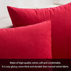 MIULEE 24x24 Inch Euro Sham Velvet Pillow Covers, Set of 2 Large Square Decorative Pillows -Red Super Soft for King Bed, Sofa, Couch, Accent Chairs