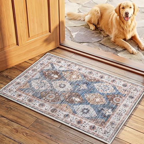 HOOBRO 2 x 3 Area Rugs Washable, Small Rugs for Entryway Kitchen Bathroom Mat Indoor Low Pile Soft Rug, Non-Slip Backing Stain Resistant Carpets, Pet Friendly Machine Washable, Light Blue BU01AR01 - color: Light Blue, size: 2' x 3' (Rectangular)
