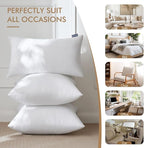 MIULEE 22x22 Inches Pillow Inserts Pack of 2, Decorative Throw Pillow Inserts for Couch