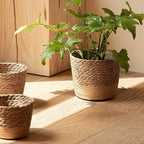 Handwoven Seagrass Planter Baskets - 3 Sizes Small Medium Large (Medium) Straw Plant Pot Covers for Indoor Plants Home Storage Rustic Boho Decor Organize Towels Toys Toiletries