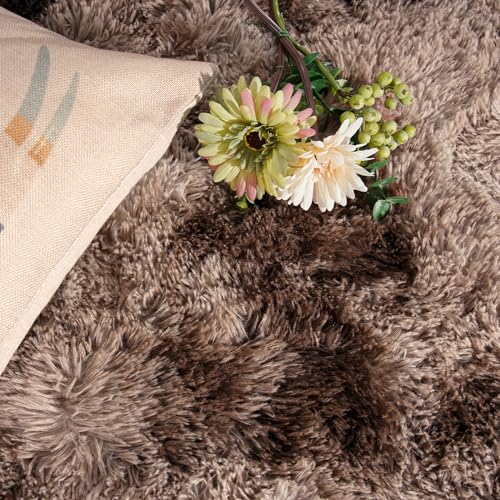 DweIke Fluffy Brown Rugs for Bedroom Living Room, 3x5 Feet Soft Plush Shaggy Tie-Dyed Dark Coffee Girls Boys Kids Rug, Upgraded Non-Slip and Machine Washable Carpet for Dorm Nursery Classroom Decor - color: Tie-dyed Brown, size: 3 Ft X 5 Ft