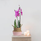 HANABASS Woven Seagrass Flower Basket with Handle 27cm Diameter Foldable Plant Pot Indoor Garden Decor Boho Style Patio Planter