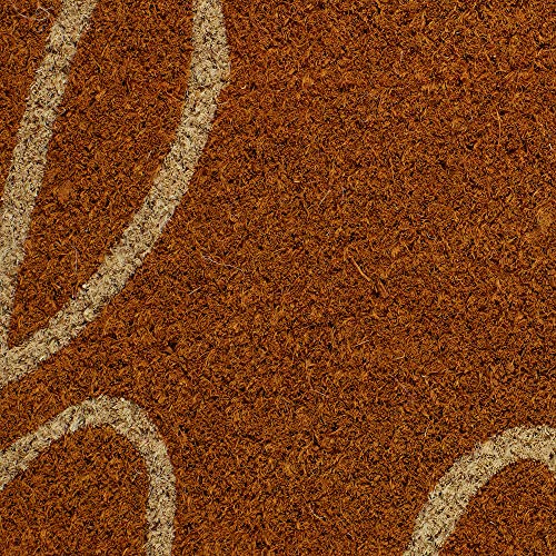 DII Hello Coir Fiber Doormat Non-Slip Durable Outdoor/Indoor, Pet Friendly, 18x30, Pumpkin Spice - color: Pumpkin Spice