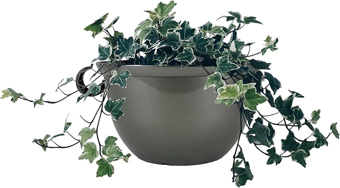 The HC Companies 11 Inch Hanging Metallic Planter - Round Hanging Basket for Indoor Outdoor Plants, Pewter (Pack of 2)