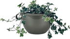 The HC Companies 11 Inch Hanging Metallic Planter - Round Hanging Basket for Indoor Outdoor Plants, Pewter (Pack of 2)