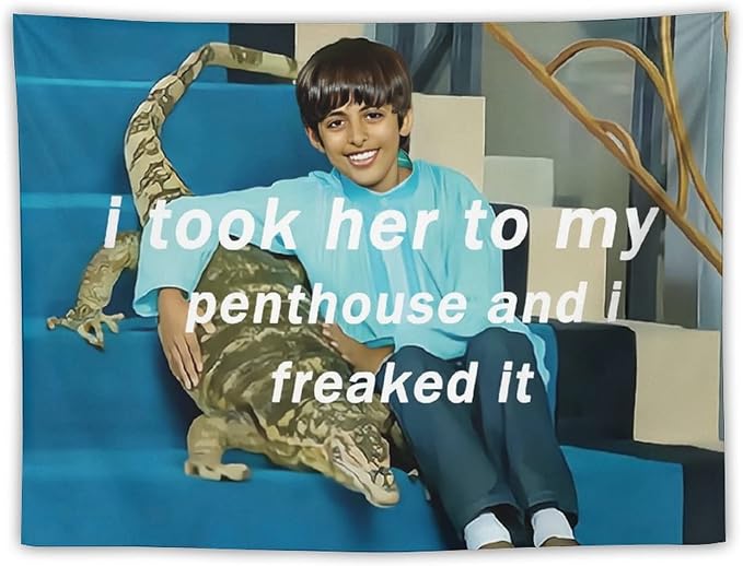 BionZax I Took Her To My Penthouse and I Freaked It Ravi Tapestry for Bedroom Aesthetic, Funny and Meme Tapestries for College Dorm and Living Room - Small Size 30"x40"