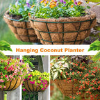 Riare 4 Pack 12 Inch Round Coco Liners Replacement, 100% Natural Coconut Coir Liners for Hanging Baskets, Garden Flower Vegetables Planter Pot, Window Box, Fence, Decks - size: 12inch
