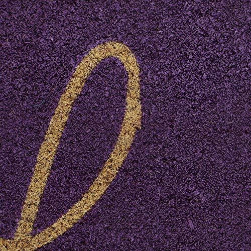 DII Hello Coir Fiber Doormat Non-Slip Durable Outdoor/Indoor, Pet Friendly, 18x30, Purple - color: Purple