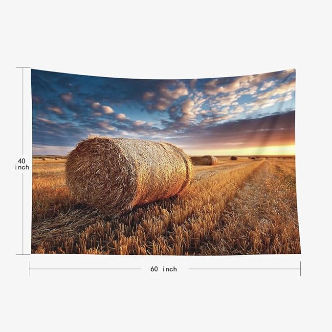 EMMTEEY Fall Tapestry Farmhouse Field Straw Nature Tapestry 60X40 Small Wall Art for Bedroom Living Room Fall Backdrop