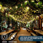 Joiedomi Clear Christmas String Lights Indoor,300(2x150) Mini White Fairy Light,62.4FT Lighting Decor for Patio Dorm Classroom Bedroom Holiday Wedding Party Garland Birthday Festival,Green Wire - size: 150 Lights×2 Pack