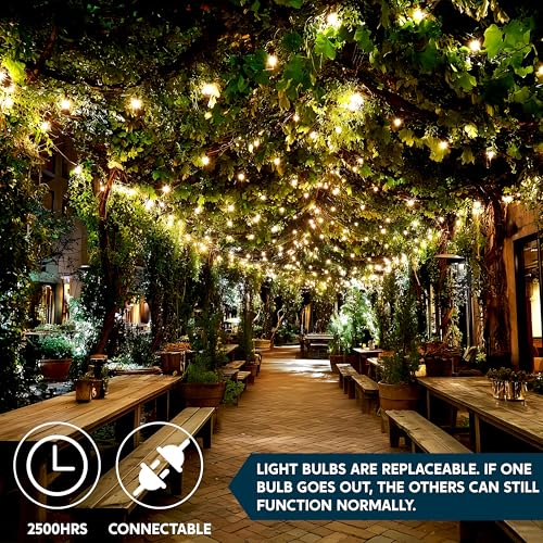 Joiedomi Clear Christmas String Lights Indoor,150 Count Mini White Fairy Light,31.2FT Lighting Decor for Patio Dorm Classroom Bedroom Holiday Wedding Party Garland Birthday Festival,Green Wire - size: 150 Lights