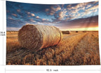 EMMTEEY Fall Tapestry Farmhouse Field Straw Nature Tapestry 92.5X70.9 Huge Wall Art for Bedroom Living Room Fall Backdrop