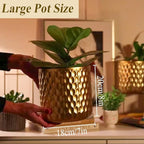 TRIROCKS Set of 2 Planters with Stand Indoor Otdoor Metal Plant Stand 8 * 18 &7 * 12 "Modern Planters Flower Pots for Living Room Corner Kitchen Office Garden Balcony Patio Decor(Gold)