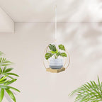 Hanging Planter for Indoor Plants, Plant Hanger with Sturdy Wood Base,Modern Boho Macrame Plant Hanger,Wall Ceiling Window Stands(Plants/Pots Not Included)