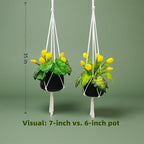 Macrame Plant Hanger 2 Pcs Hanging Planters for Indoor with 2 Hooks Indoor Outdoor Hanging Planter for Plants Holder with Decorative Tassels, Boho Home Decor, 35 Inch Ivory (Pots Not Included)