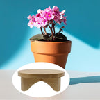 Oedema 6 Inch Indoor Plant Stand Round Solid Wood Flower Stand Mid Century Modern Plant Stand for Displaying, Small Plants, Desktop, Office & Home Decor