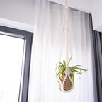 3 Pack Macrame Plant Hangers Handmade Woven Boho Hanging Planters for Indoor Plants Window Balcony Home Decor