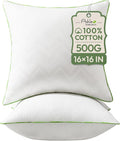 Ashler 16x16 Pillows Insert (Set of 2) - Throw Pillow Inserts with 100% Cotton Cover - 16 Inch Square Interior Sofa Stuffer Pillow Inserts -Decorative White Couch Pillow