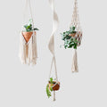 Modern Minimalist Bohemian Style Hanging Planters Plant Net Pocket Hand Woven Hanging Basket Holder Tapestry Flower Basket with Exquisite Tassel Indoor Balcony Decoration (3 in 1)