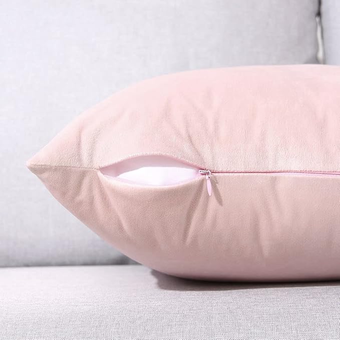 2 Pack Soft Velvet Couch Throw Pillow Covers 20x20 Inch for Sofa Living Room Bedroom (Pink)