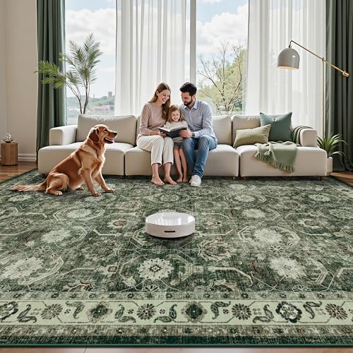 5x7 Area Rugs, Soft Non Slip Low Pile Washable Rug, Boho Modern Rug for Living Room, Bedroom, Dining Room, Sage Green - color: A-sage Green, size: 5' x 7' (Rectangular)