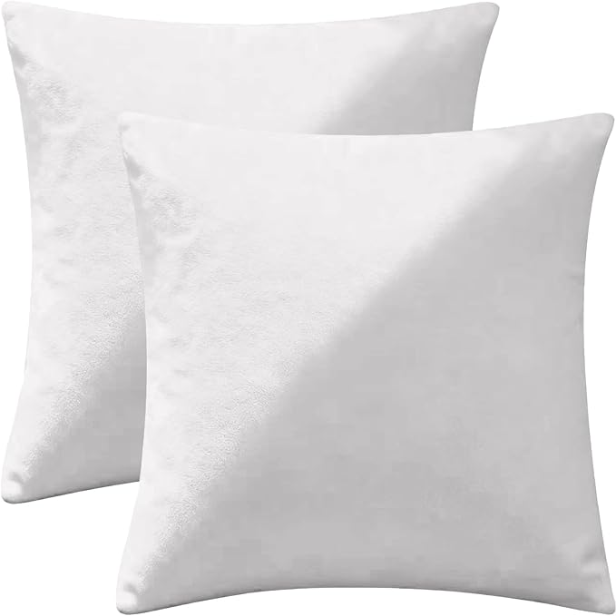 2 Pack 18x18 Pillow Cover Velvet Pillow Covers, Square Throw Pillow Covers for Living Room Decorations Throw Pillow Case, Throw Pillow Cover Cushion Cover for Sofa Bedroom Car, White Velvet