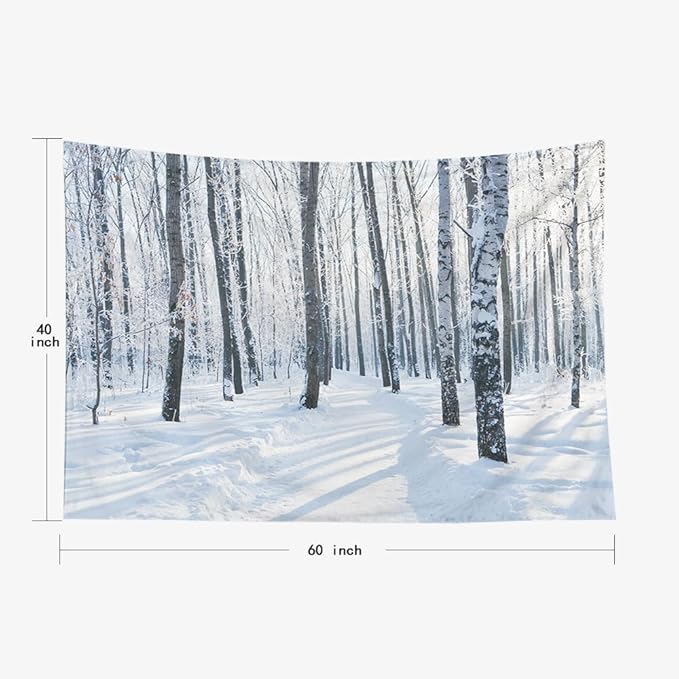 EMMTEEY Winter Tapestry Forest Wall Tapestry Winter Scene Birch Forest White Scenic Tapestry 60X40 Room Tapestry Present for Families