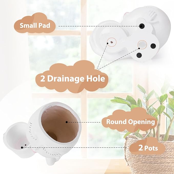 Face Planter Pots Head, Planters for Indoor Plants - Double Cute Plant Pots for Flower & Succulent with Drainage Holes - Ideal Present Ideas (White Lady)