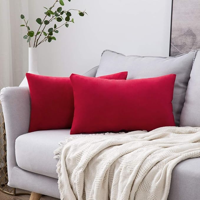 MIULEE Pack of 2 Velvet Pillow Covers Decorative Lumbar Rectangle Pillowcase Soft Solid Cushion Case Home Decor for Couch Sofa Bedroom Car 12x20 Inch Red
