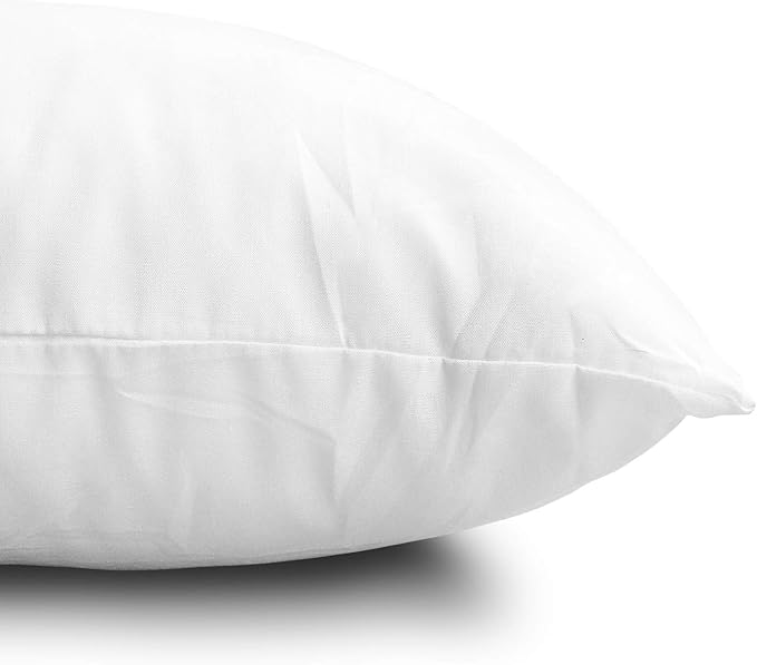 EDOW Throw Pillow Inserts, Set of 2 Lightweight Down Alternative Polyester Pillow, Couch Cushion, Sham Stuffer, Machine Washable. (White, 24x24)